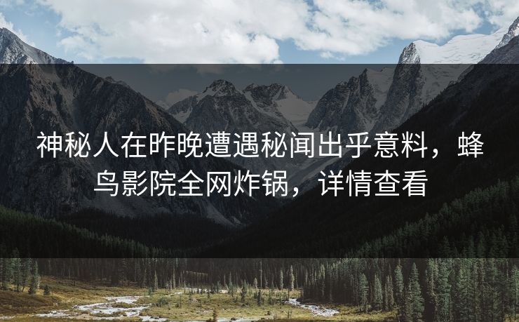 神秘人在昨晚遭遇秘闻出乎意料，蜂鸟影院全网炸锅，详情查看