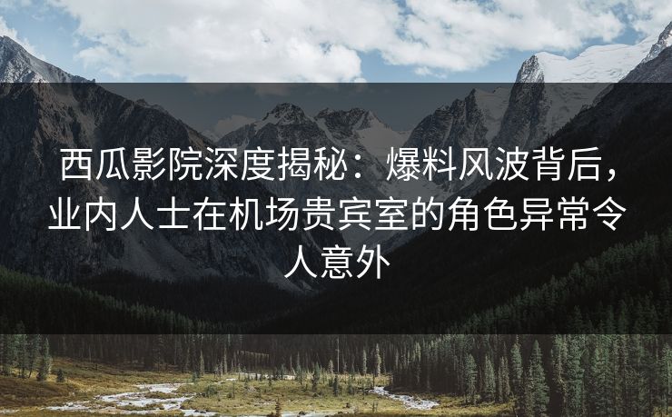 西瓜影院深度揭秘：爆料风波背后，业内人士在机场贵宾室的角色异常令人意外
