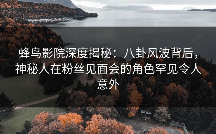 蜂鸟影院深度揭秘：八卦风波背后，神秘人在粉丝见面会的角色罕见令人意外